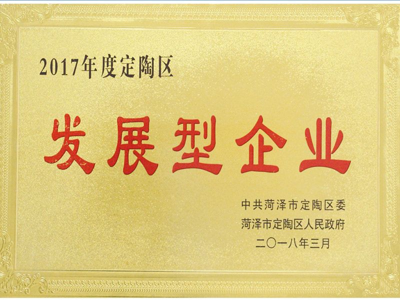 2017年度定陶发展型企业